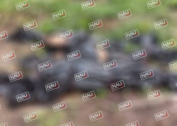 En Guatemala, a unos 13 kilómetros de la frontera de México, localizan tres personas asesinadas