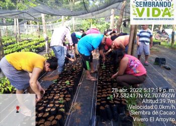 Enseñan A Niños A Sembrar E Intercambian Juguetes Por Pet