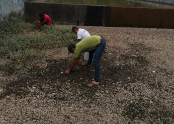Realizan cambio de línea en los filtros de agua en Tuxtla Chico