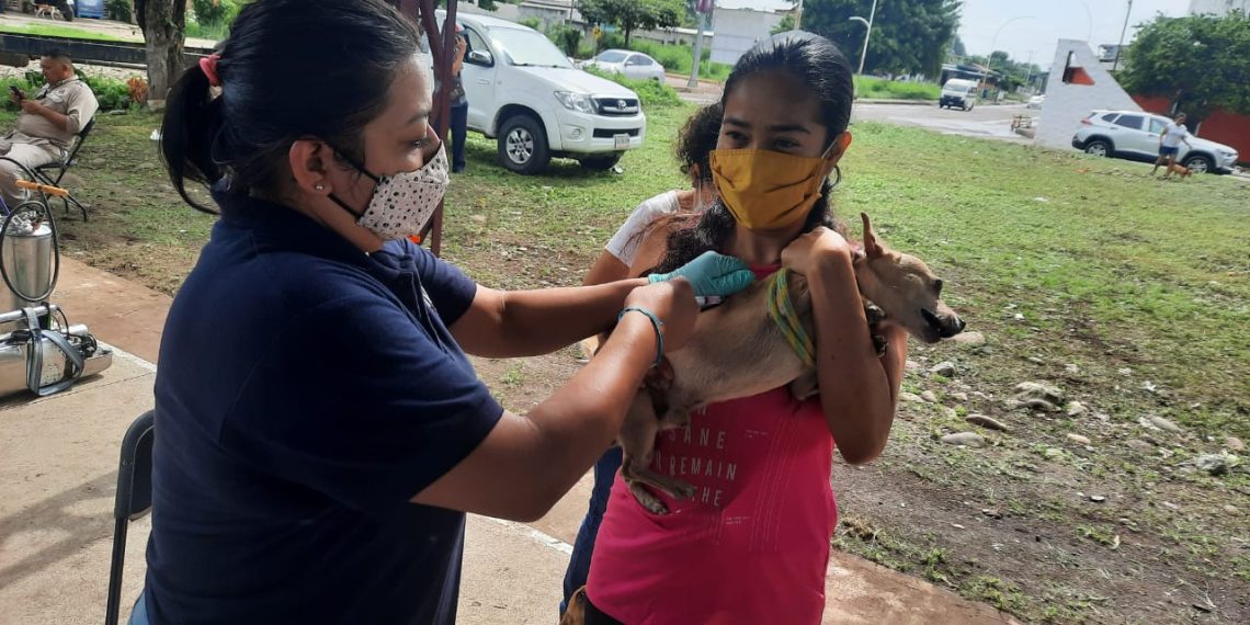 INICIA JORNADA DE VACUNACIÓN ANTIRRÁBICA CANINA Y FELINA TAPACHULA 2022
