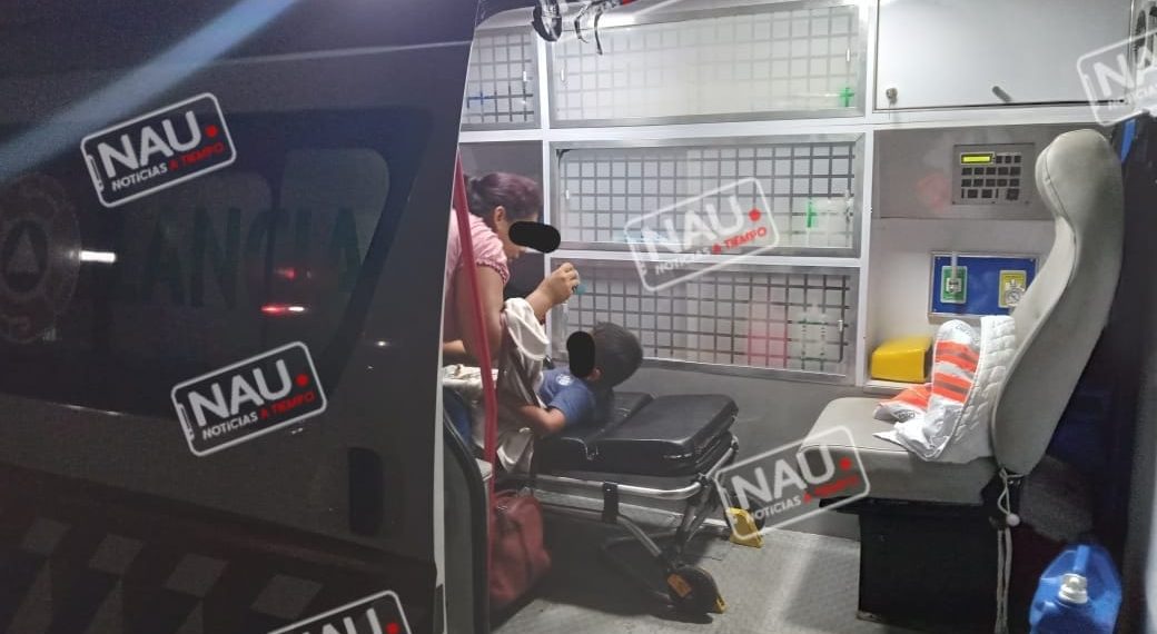 Menor fue atacado por un enjambre de abeja.