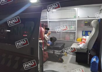 Menor fue atacado por un enjambre de abeja.