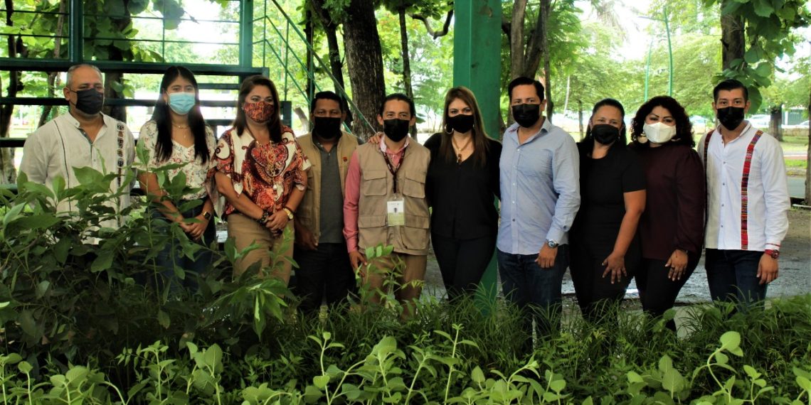 PROGRAMA ECOLÓGICO DE SALUD “PLANTAS CONTRA MOSQUITOS” BENEFICIA A ESCUELAS DE TAPACHULA