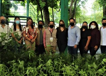 PROGRAMA ECOLÓGICO DE SALUD “PLANTAS CONTRA MOSQUITOS” BENEFICIA A ESCUELAS DE TAPACHULA