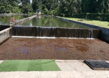 SAPAM Tuxtla Chico da mantenimiento al conducto del canal ubicado en el tramo “la colocha”