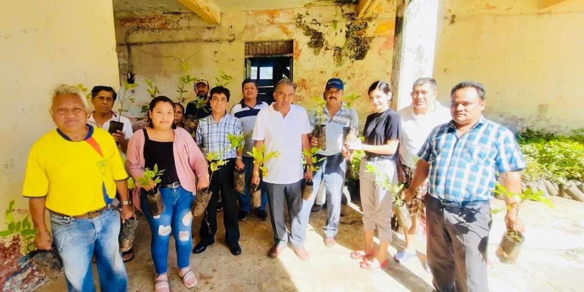 El Ayuntamiento de Unión Juárez Hizo entrega de árboles frutales para las y los habitantes del Ejido Once de Abril, Fracción San Jerónimo y Barrio el Porvenir
