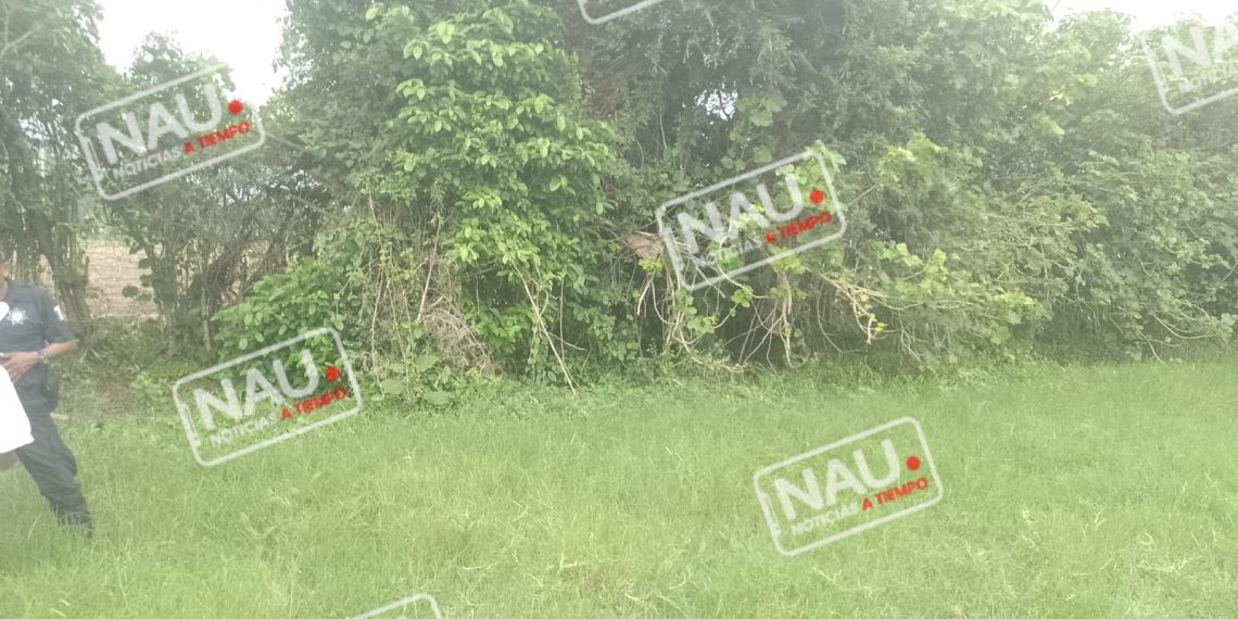 Localizan a una persona sin vida.