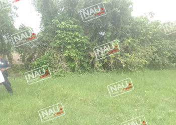 Localizan a una persona sin vida.