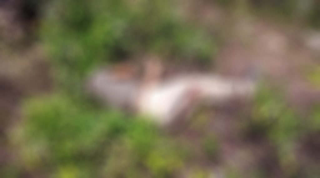 Asesinan a sujeto que había salido del CERSS 3 acusado de robo