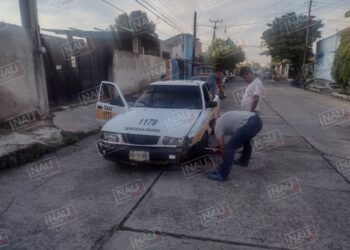 Una fémina lesionada