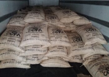 Exportan Lote De 19 Toneladas De Café Orgánico Certificado A Estados Unidos