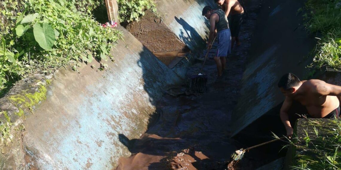 Sapam Tuxtla Chico realizó la limpieza del talud en Rosario Izapa