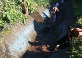 Sapam Tuxtla Chico realizó la limpieza del talud en Rosario Izapa