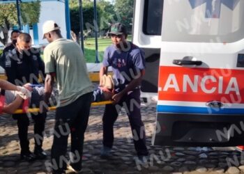 Salvadoreño cae de un árbol en la Unach