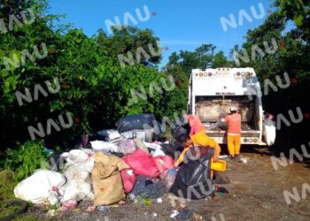 Gobierno de Tuxtla Chico combate el dengue con descacharramiento.