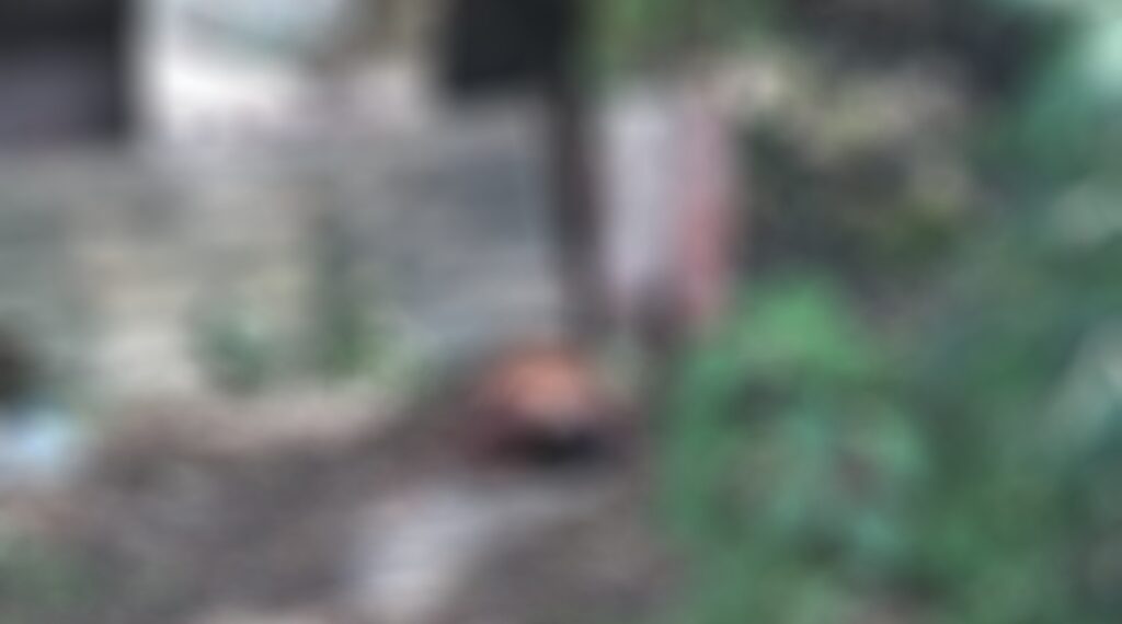 Indigente fue localizado sin vida frente al Palacios de los Zopilotes