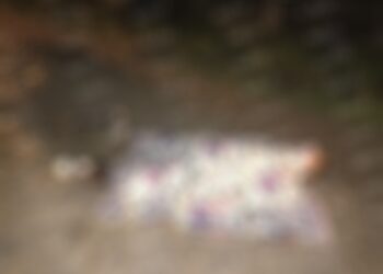 Muere persona atropellada sobre la carretera Puerto Madero – Tapachula