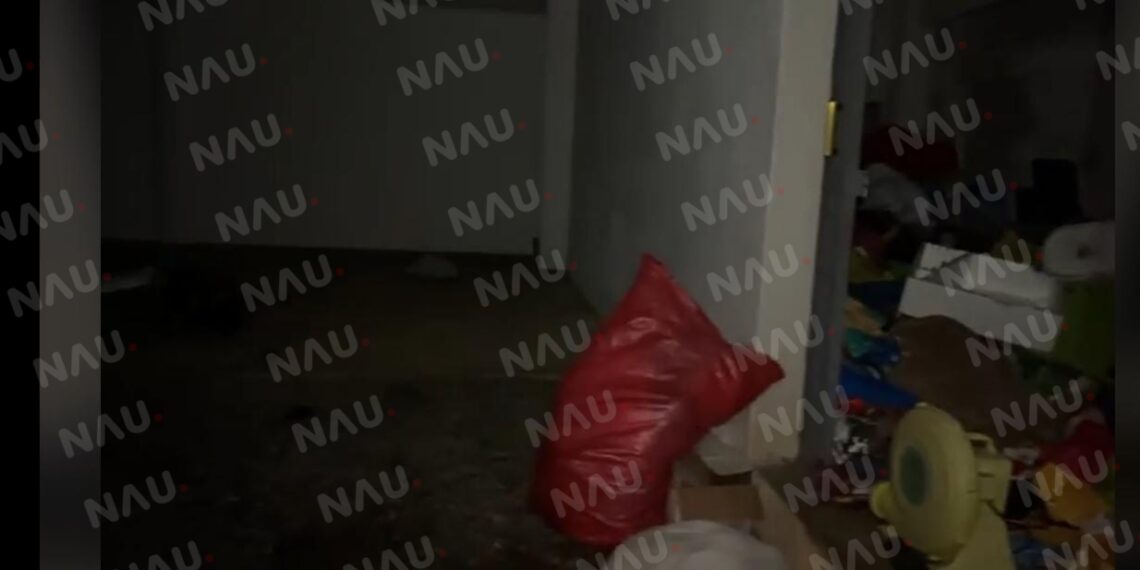 Realizan cateo en el rancho de San Francisco en Gatica