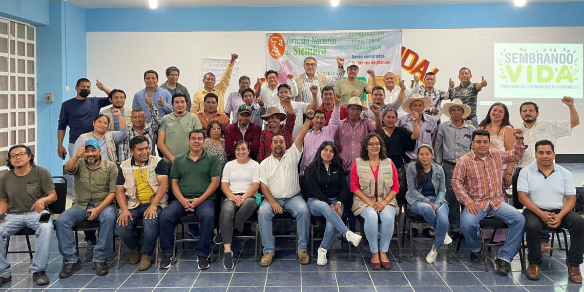 Se Crea Sociedad Cooperativa En La Zona Sierra De Chiapas