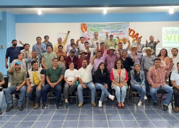 Se Crea Sociedad Cooperativa En La Zona Sierra De Chiapas