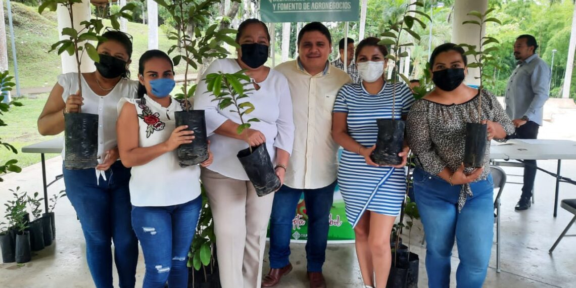 AYUNTAMIENTO DE TAPACHULA INVITA A LA POBLACIÓN A ADOPTAR UN ÁRBOL