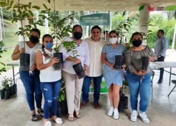 AYUNTAMIENTO DE TAPACHULA INVITA A LA POBLACIÓN A ADOPTAR UN ÁRBOL