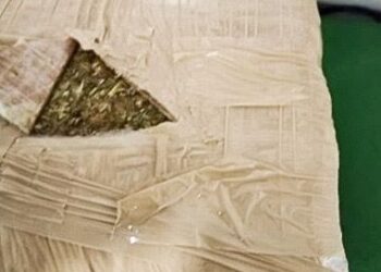 FGR OBTIENE SENTENCIA DE MÁS DE TRES AÑOS DE PRISIÓN CONTRA UNA PERSONA POR TRANSPORTE DE MARIHUANA