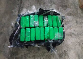 Aseguran avioneta con droga