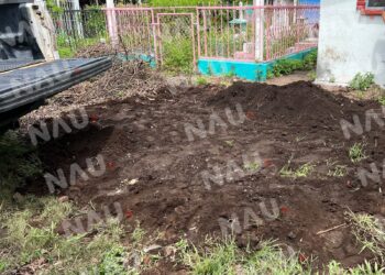 A la fosa común 22 cuerpos