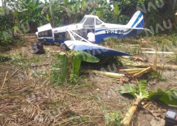 Avioneta fuimugadora aterriza en un predio en suchiate