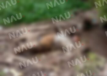 Localizan cuerpo en avanzado estado de putrefacción en la zona baja de Tapachula