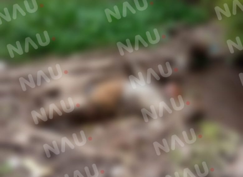 Localizan cuerpo en avanzado estado de putrefacción en la zona baja de Tapachula