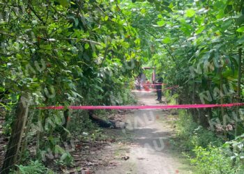 Se quitó la vida en un predio atrás de su domicilio