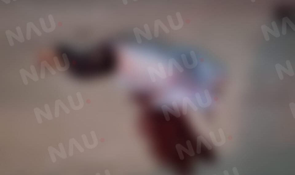 Muere abuelito al ser atropellado