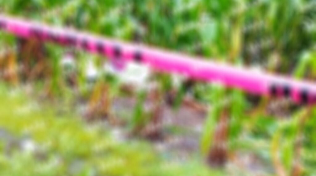 Eléctrico fue asesinado de un Balazo en Huixtla