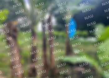 Muere jornalero chapín de paro cardíaco