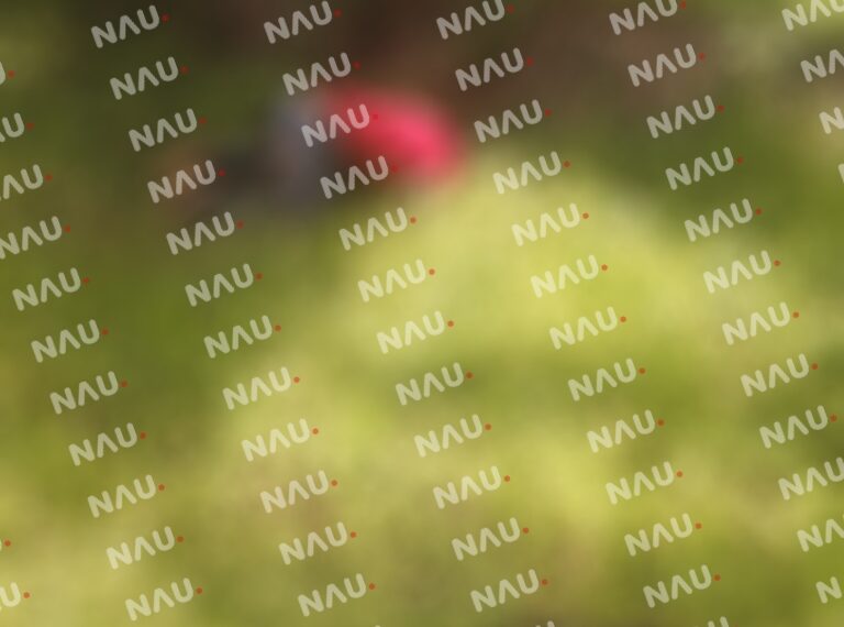 Se ahorcó en Acapetahua