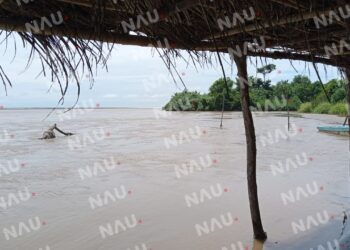 Aparece otro cuerpo en la isla de Suchiate