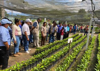 Evalúan Trabajos En Huixtla, De 3ª. Jornada Nacional De Siembra