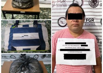 ASEGURA LA PFM UNA PERSONA EN POSESIÓN DE 300 HUEVOS DE TORTUGA