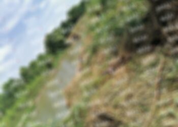 Localizan cuerpo en avanzado estado de putrefacción