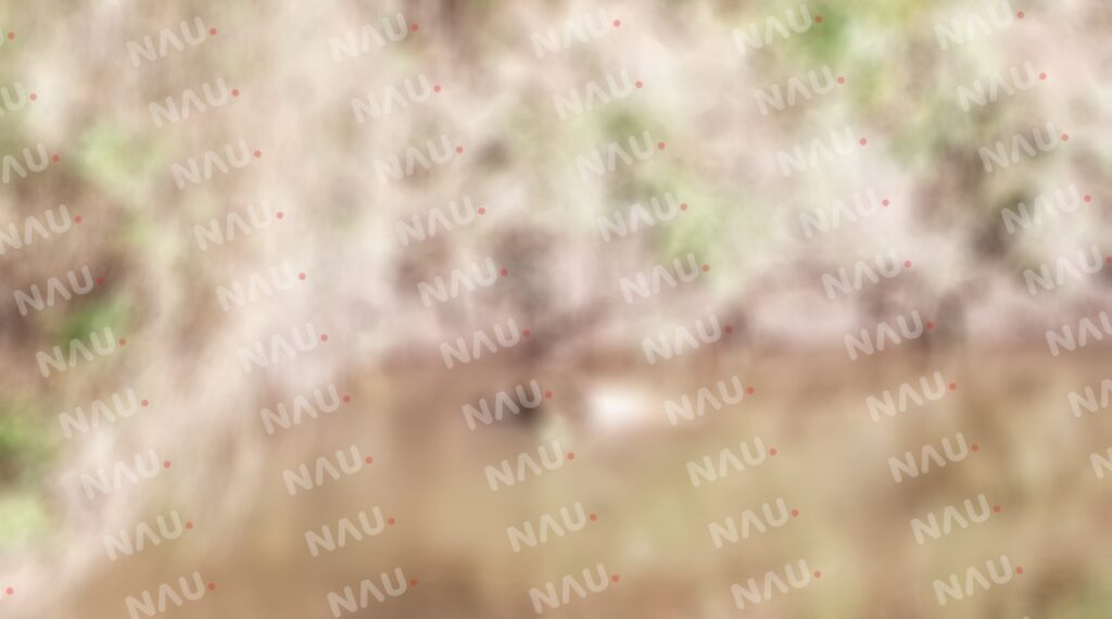 Localizan el cuerpo arrastrado por un río en Mazatán