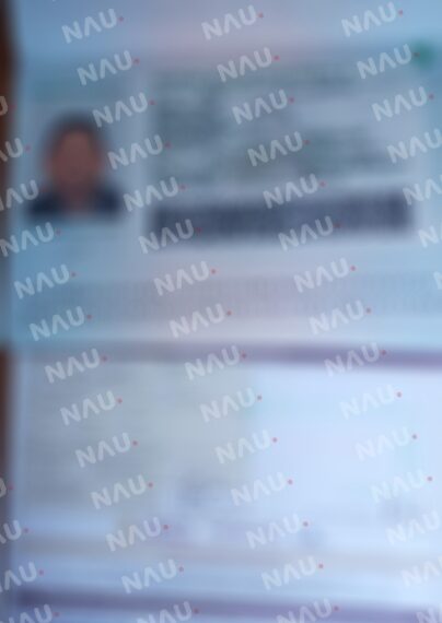 INM brinda facilidades a familia guatemalteca por Razones Humanitarias