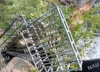 Guatemala: camioneta llena de gente cae en un barranco y causa la muerte de al menos 18