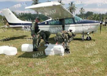 Pérdida millonaria para la delincuencia organizada