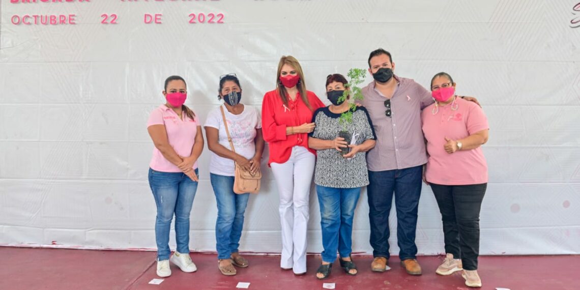 REALIZAN BRIGADA INTEGRAL ROSA EN COLONIA BENITO JUÁREZ