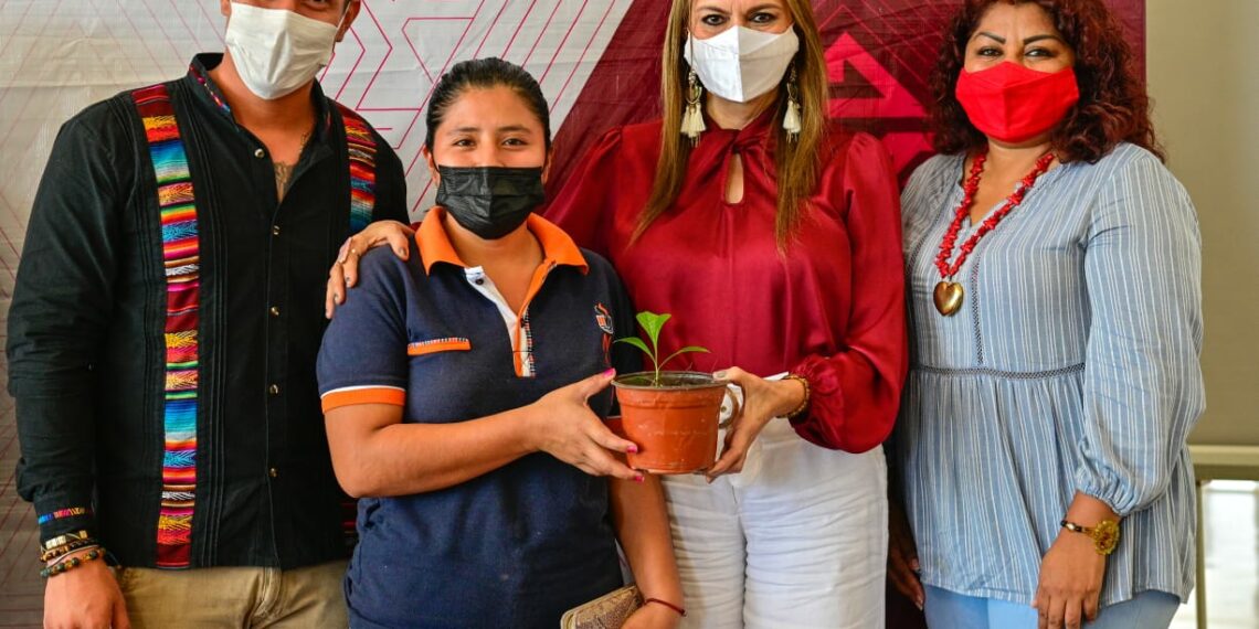 INICIA EL PRIMER FESTIVAL DEL HUACAL EN TAPACHULA