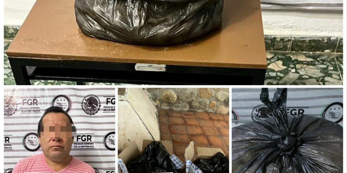 OBTIENE FGR SUSPENCIÓN CONDICIONAL A PROCESO EN CONTRA DE DOS PERSONAS POR DELITO CONTRA LA BIODIVERSIDAD