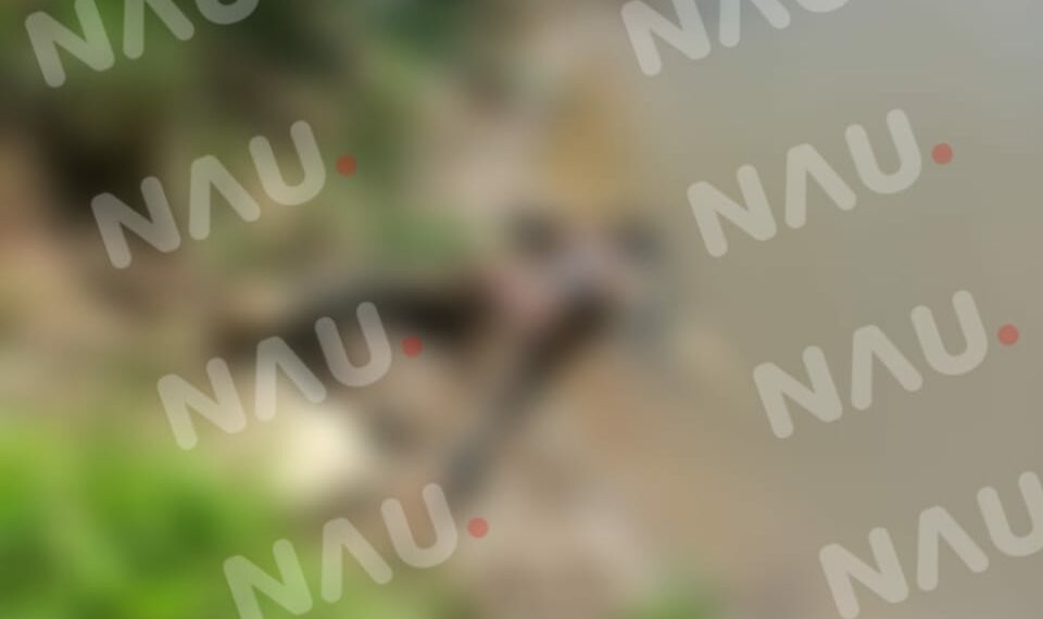 Una persona fue localizada sin vida en el municipio de Suchiate.