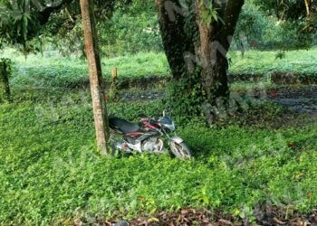 Dos campesinos lesionados al ser impactados por un vehículo en Consuelo Ulapa de MAPASTEPEC